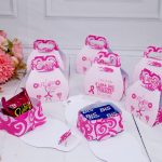 Outubro Rosa Maletinha Porta Bis